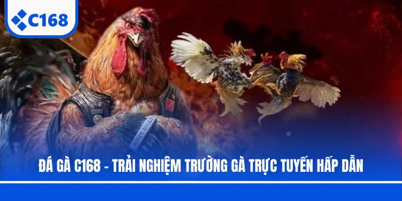 Đá Gà C168 - Trải Nghiệm Trường Gà Trực Tuyến Hấp Dẫn