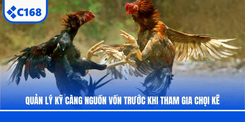 Quản lý kỹ càng nguồn vốn trước khi tham gia chọi kê