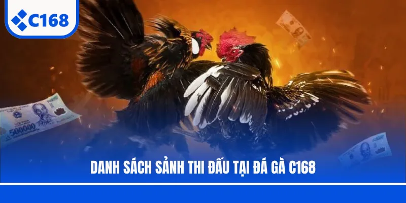 Danh sách sảnh thi đấu tại đá gà C168