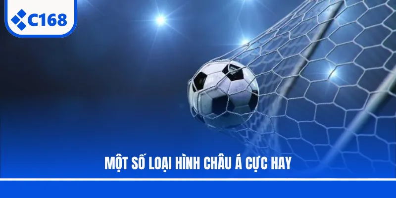 Một số loại hình châu Á cực hay