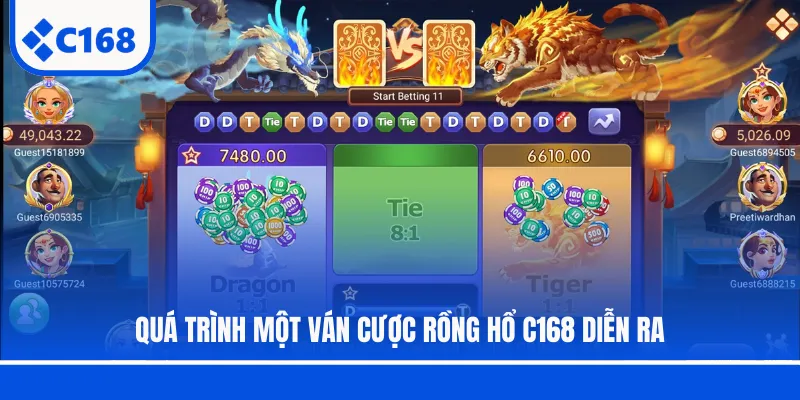 Quá trình một ván cược Rồng Hổ C168 diễn ra