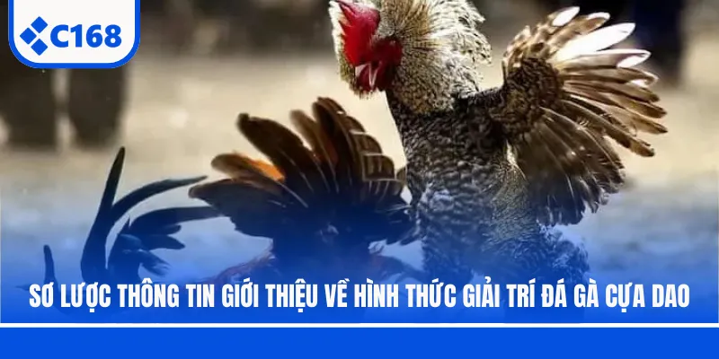 Sơ lược thông tin giới thiệu về hình thức giải trí đá gà cựa dao