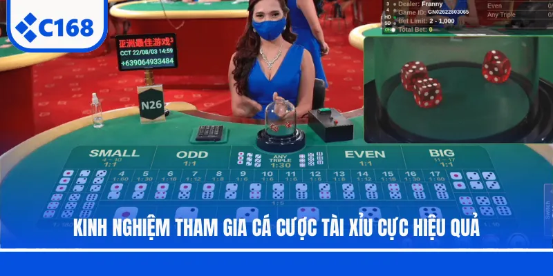 Kinh nghiệm tham gia cá cược Tài Xỉu cực hiệu quả